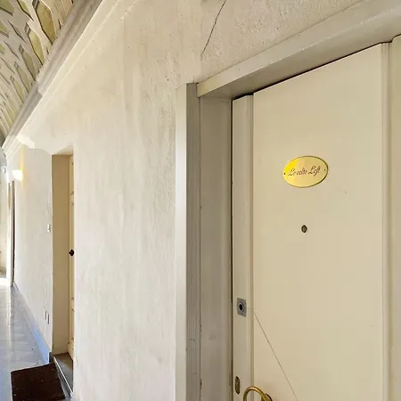 Le Volte Air Conditioned Loft Apartament *